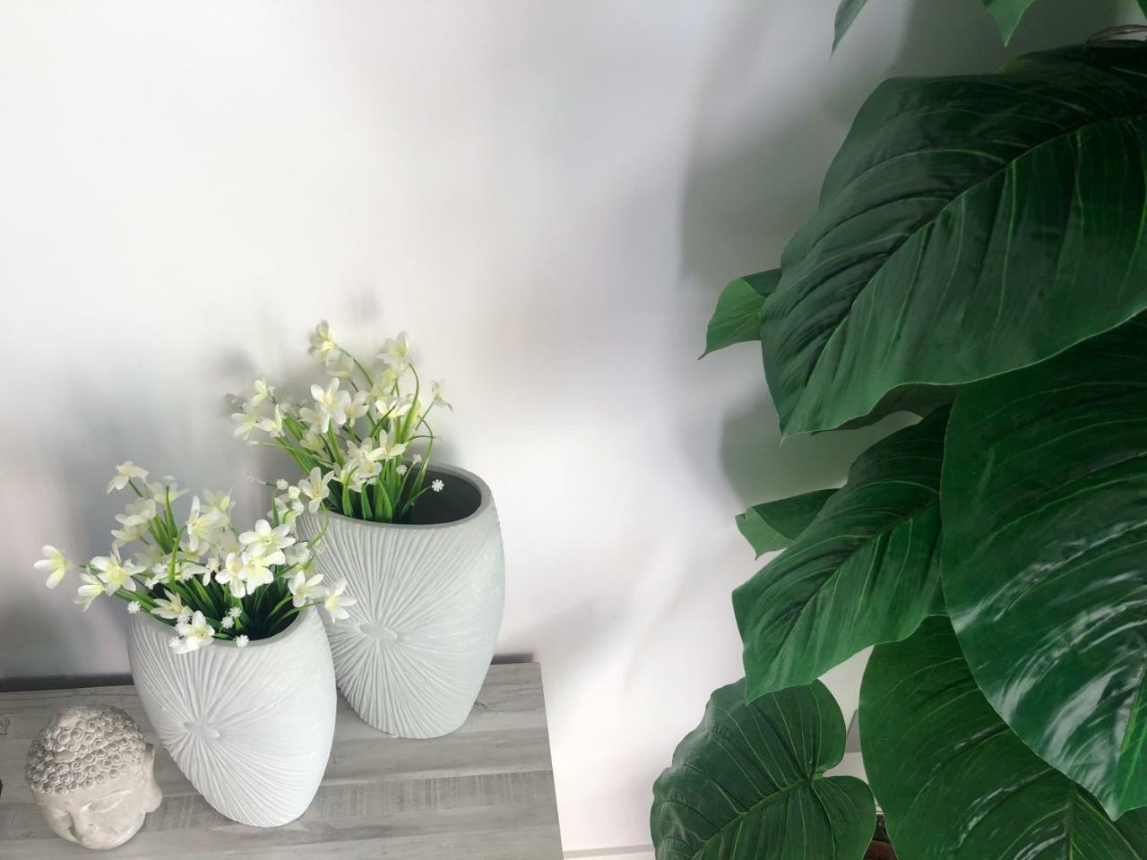 סאלו La Moderna Apartament מראה חיצוני תמונה